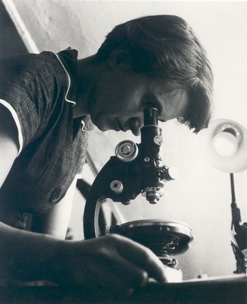 Rosalind Franklin looks into a microscope, 1955.