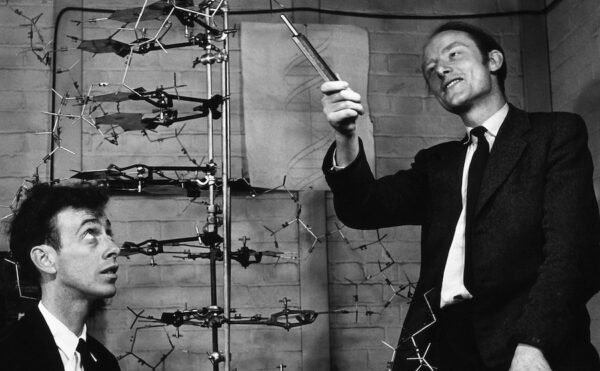 James Watson and Francis Crick with their DNA model at the Cavendish Laboratories in 1953. To request permission to use this photo, please visit the Science Photo Library website.