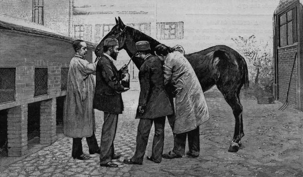 four men standing with a horse