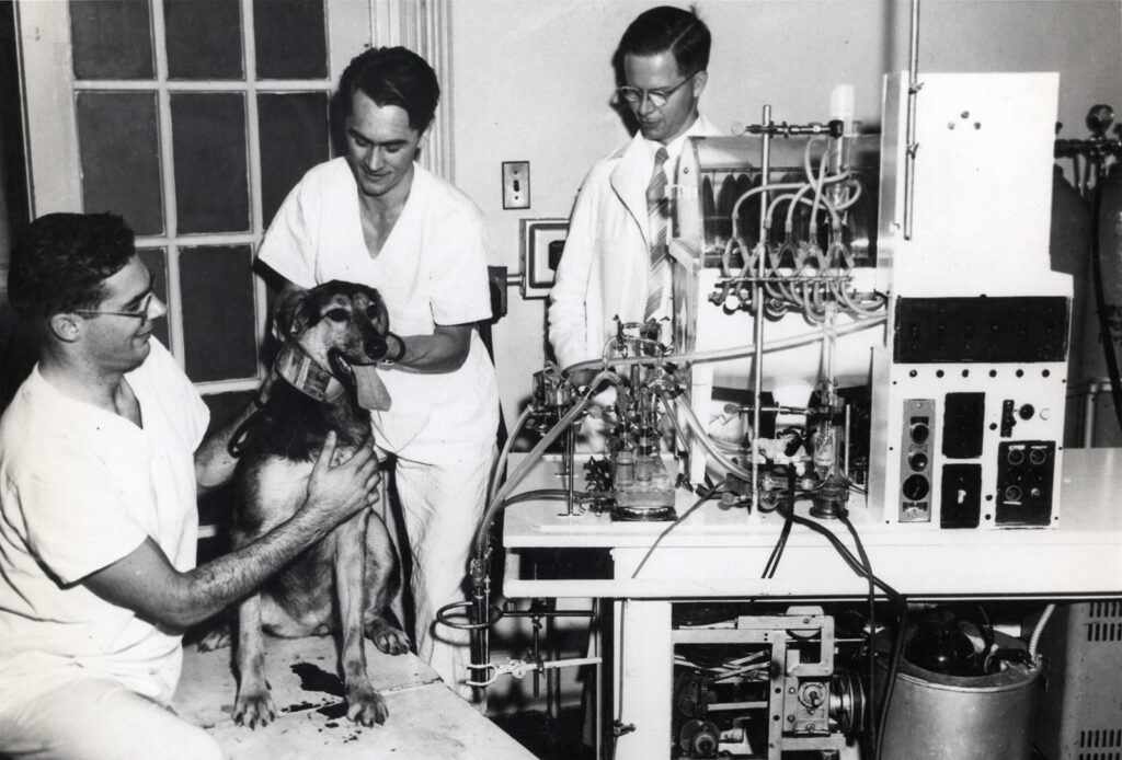 Photo of doctors with dog sitting on blood-stained surgical table
