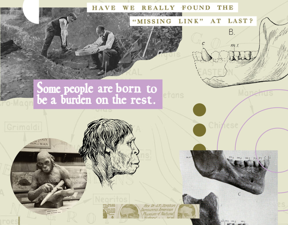 Collage showing natural history illustrations and newspaper clippings