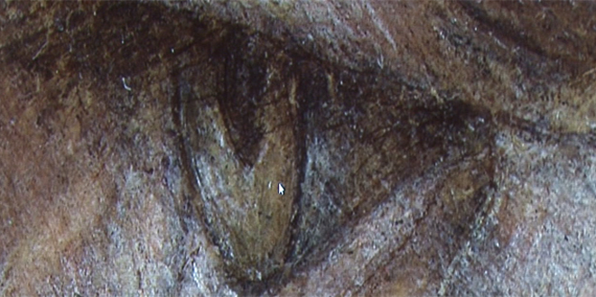 Close-up of La Bella Principessa
