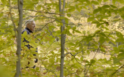 Man walking in forest of fall leaves
