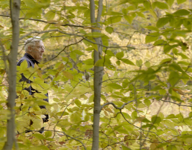 Man walking in forest of fall leaves