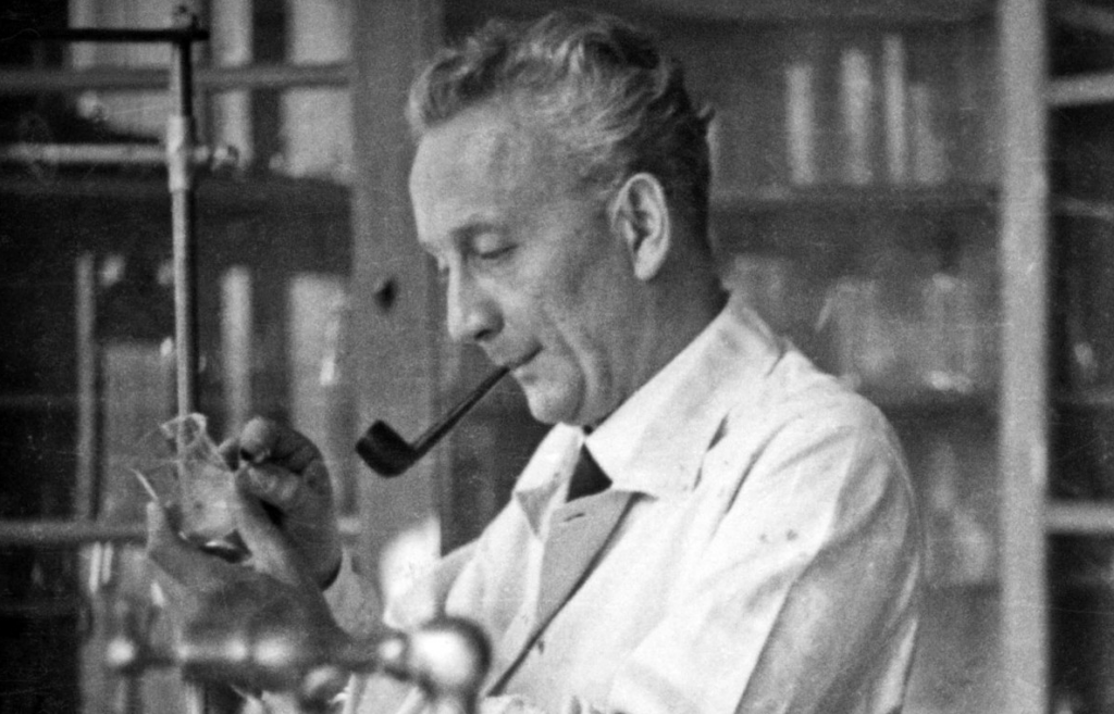 Albert Szent-György with a pipe in his mouth, looking at a glass beaker