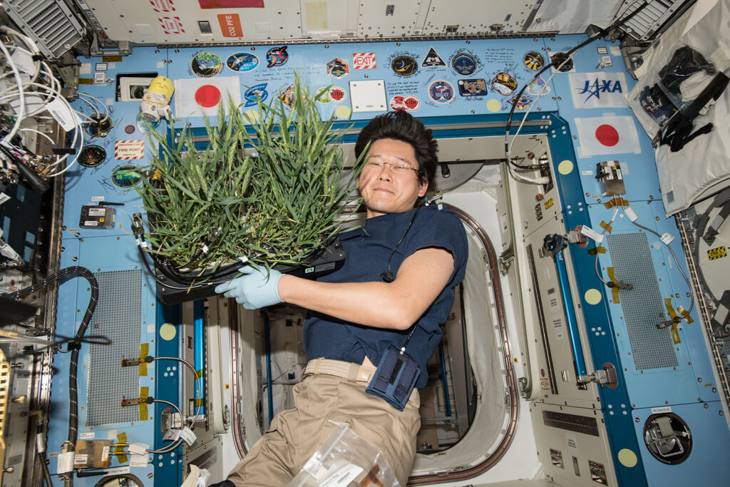 Floating man holding plants inside a space capsule