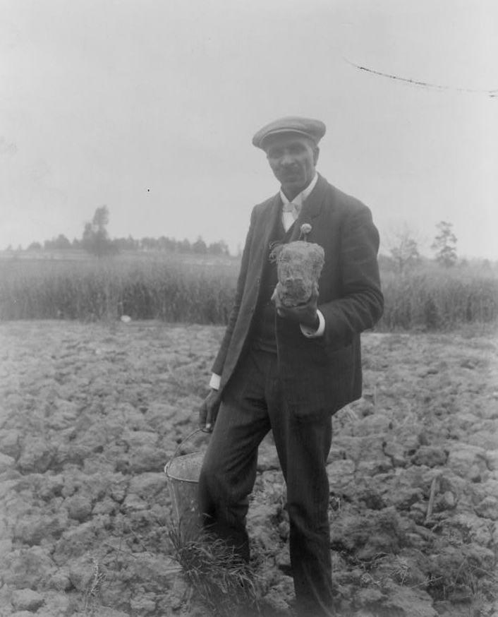 George Washington Carver standing in a field, probably at Tuskegee, holding a piece of soil, 1906. He wears a suit, flower in his lapel, and a hat.