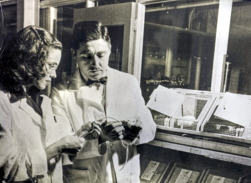 Helen and Alfred Free at the Miles-Ames Research Laboratory in 1948. The Frees developed the first dip-and-read test strip while at Miles Laboratories, now Bayer. Courtesy Bern Harrison/Bayer.