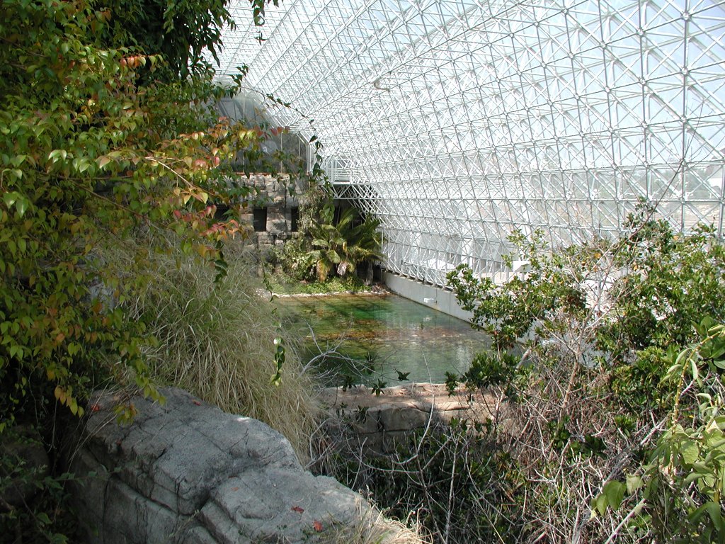 Photo of pond and vegetation growing inside large solarium
