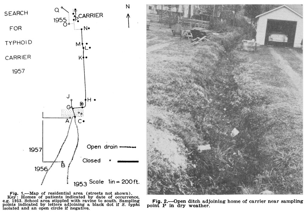 Line drawing and photograph from scientific report