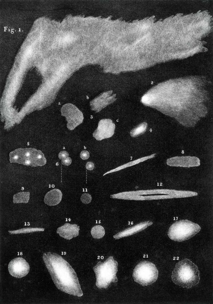 black and white illustrations of celestial phenomena