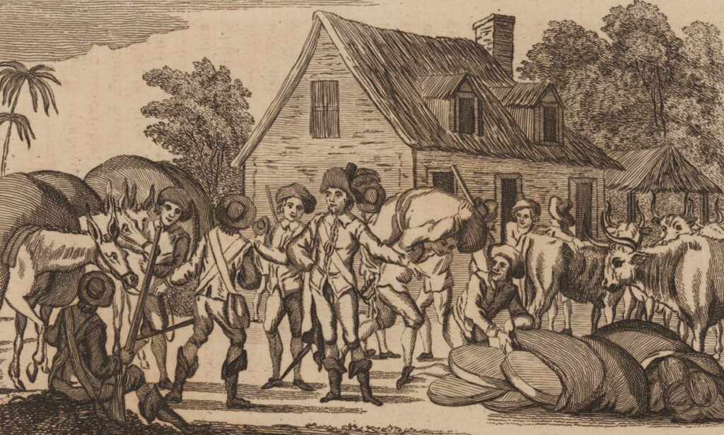 Illustration of men stealing oxen and mules