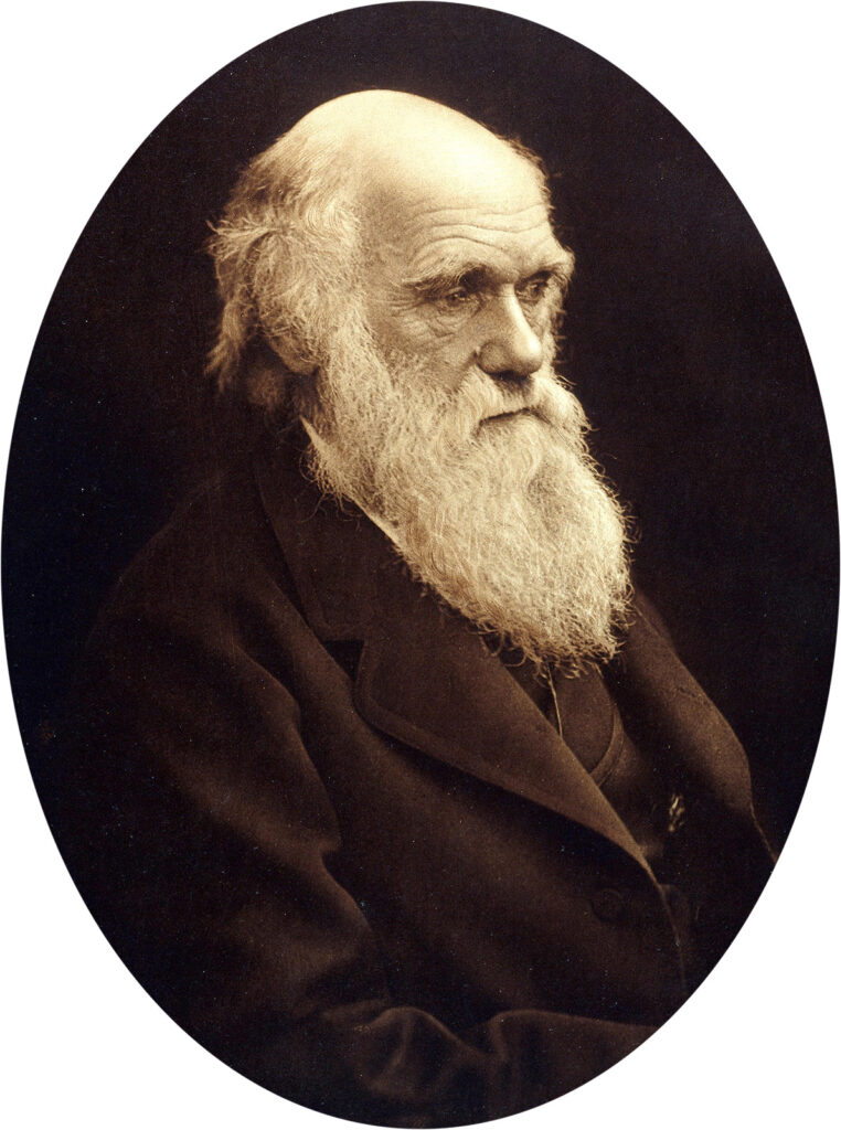 Photographic portrait of old man with long beard