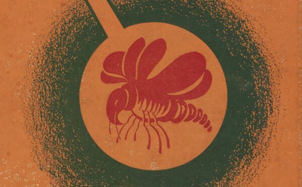 Book Cover: DDT Killer of Killers