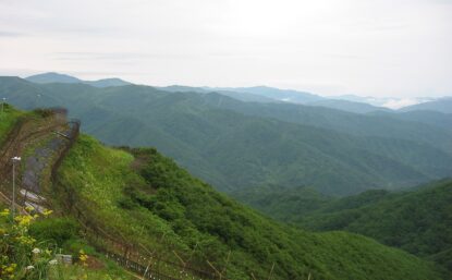 An image of Korea's DMZ, both the natural landscape and the fence surrounding it