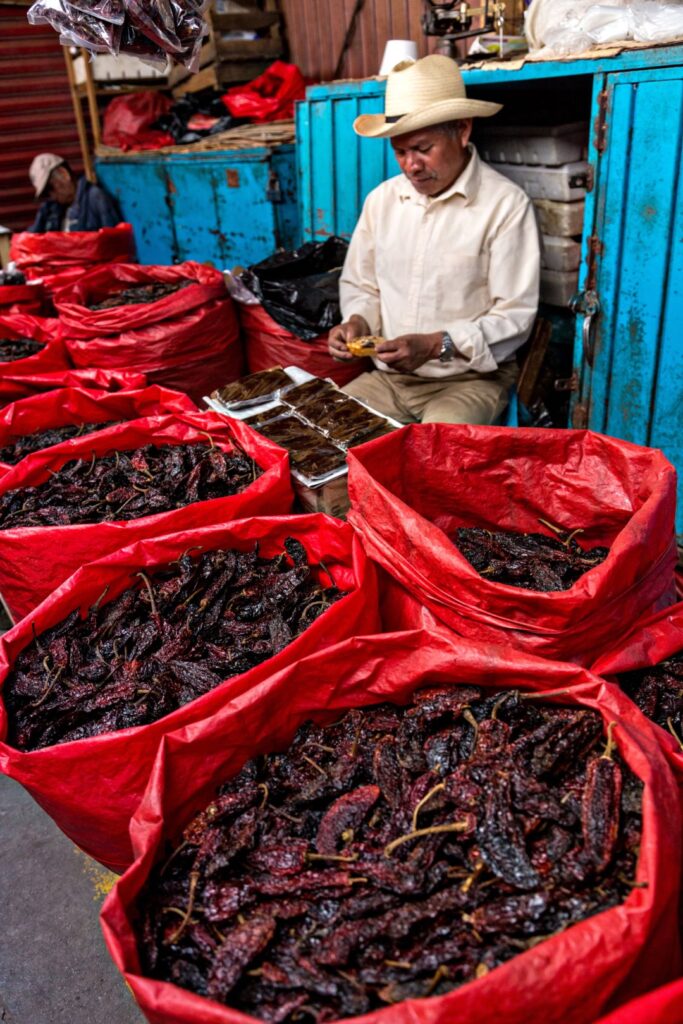 Dried peppers in market, Oaxaca, Mexico