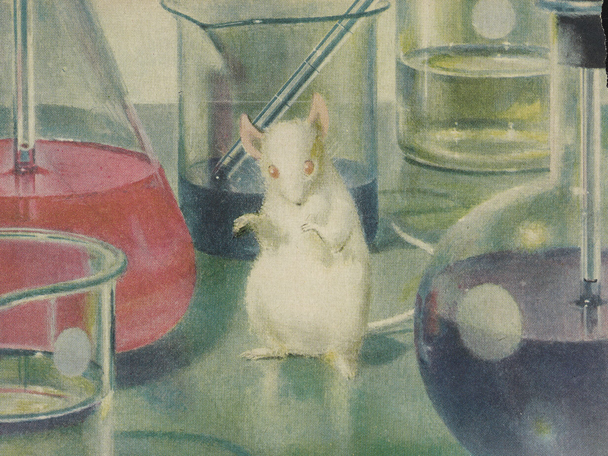 ExhibitLab | Science History Institute