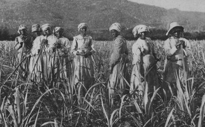 workers in a sugar cane field