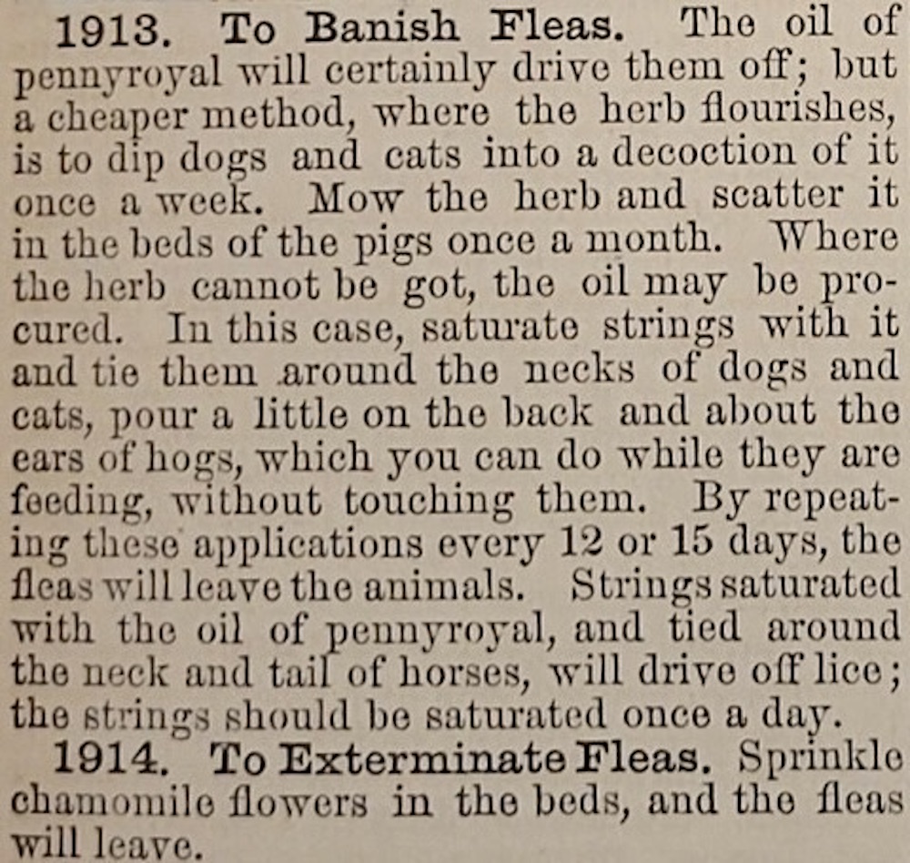 Scan of a book of recipes for killing fleas