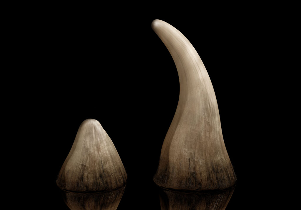 Rhino horn