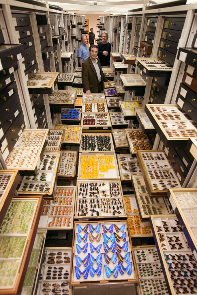 Smithsonian entomology department