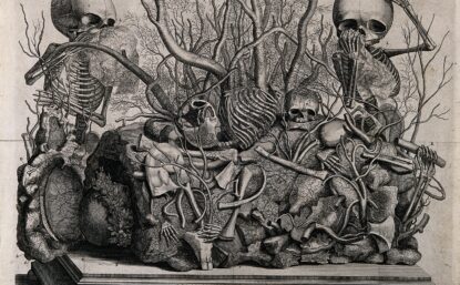 Illustration of a tableau of injected vessels and infant skeletons by Frederick Ruysch.