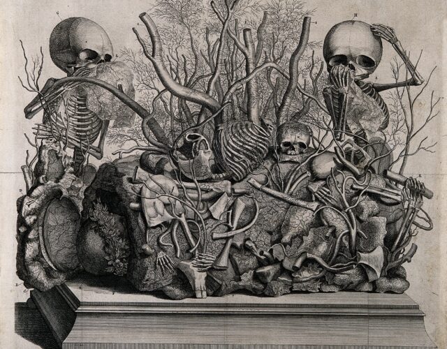 Illustration of a tableau of injected vessels and infant skeletons by Frederick Ruysch.