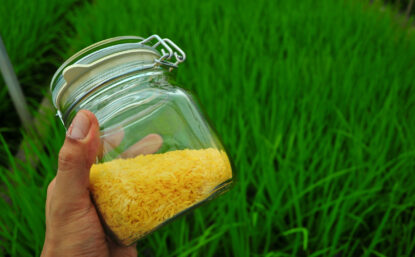 Hand holding a jar of golden rice. Green grass in the background.