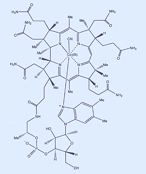 The molecular structure of vitamin B12, which Dorothy Hodgkin determined using X-ray crystallography.