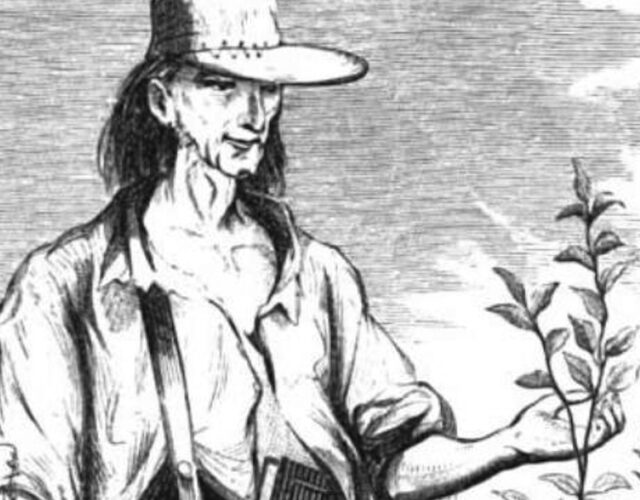 illustration of Johnny Appleseed