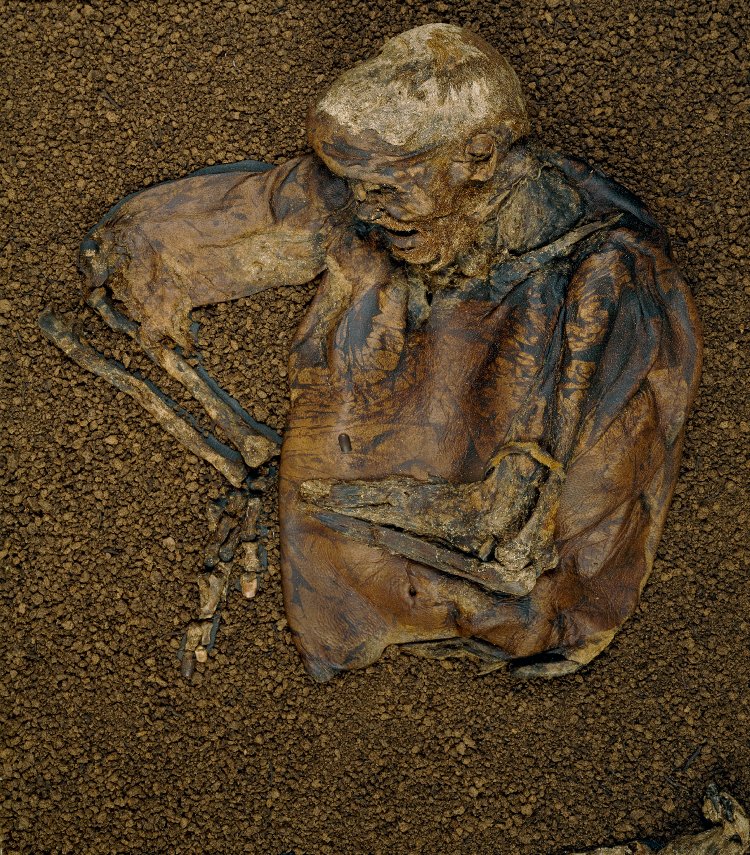 Remains of Lindow Man at British Museum