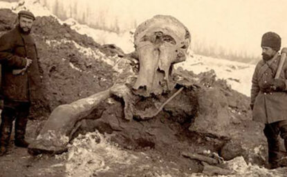 Eugene Pfizenmayer (left) excavating a mammoth carcass on the banks of the Berezovka River in Siberia, ca. 1901. (Courtesy of Smithsonian Institution)