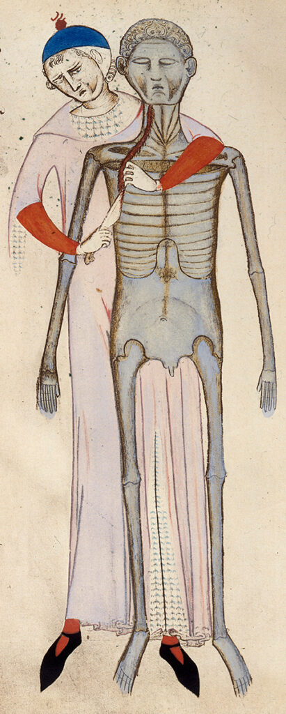 Old illustration of human dissection