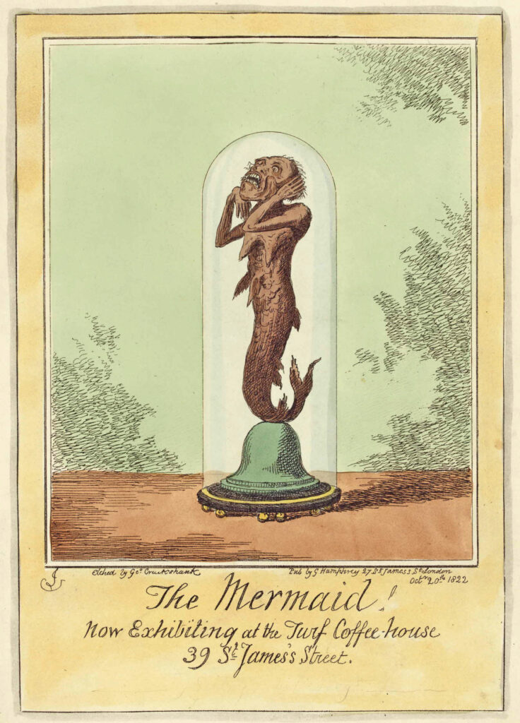 Fiji Mermaid