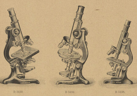 Illustration of three microscopes.