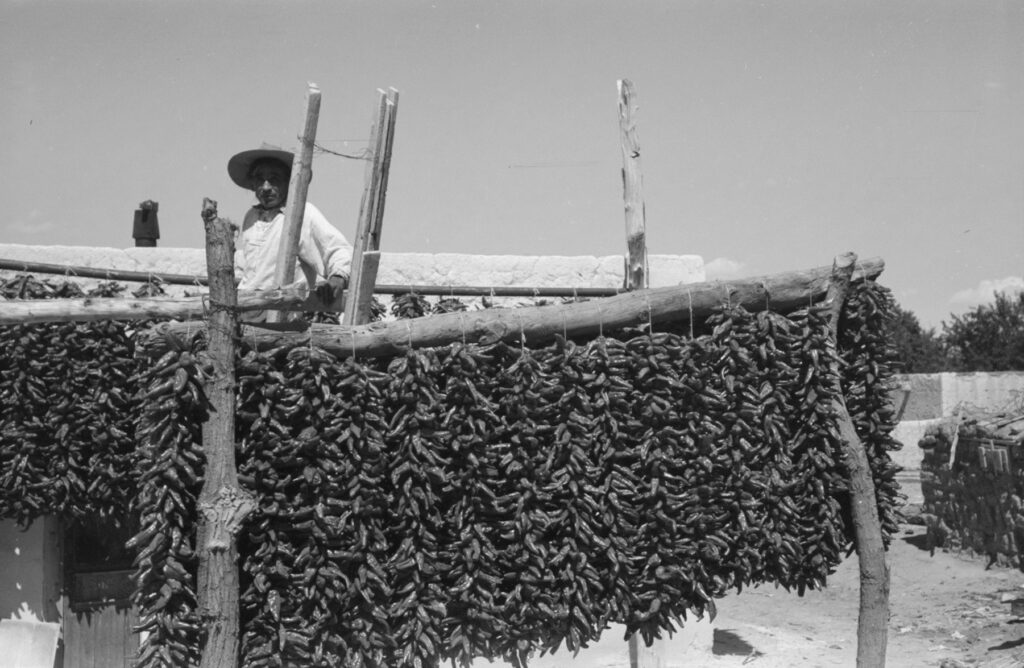 Drying peppers in New Mexico