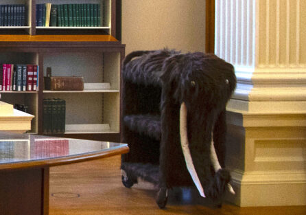 Book cart decorated as a woolly mammoth