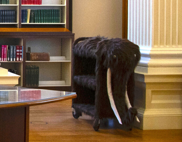 Book cart decorated as a woolly mammoth