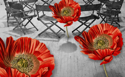 Photo illustration of poppy flowers and meeting chairs