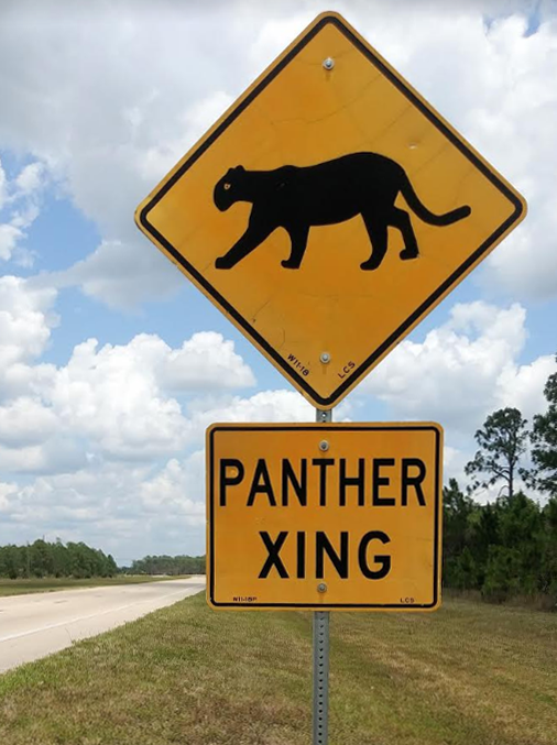 Photo of a panther crossing road sign