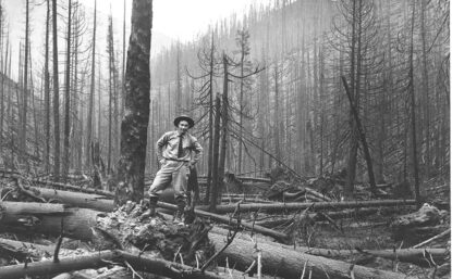 Black and white photograph of a man wearing a tie standing in a forest, surrounded by burnt logs.