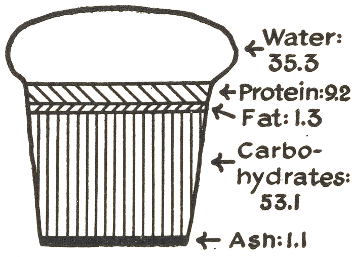 Simple annotated line drawing of bread