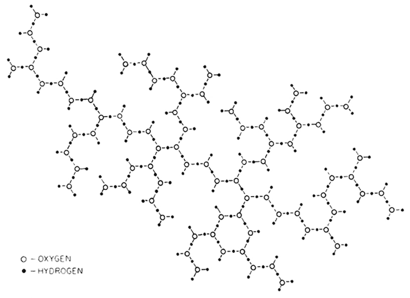 Two-dimensional molecular structure