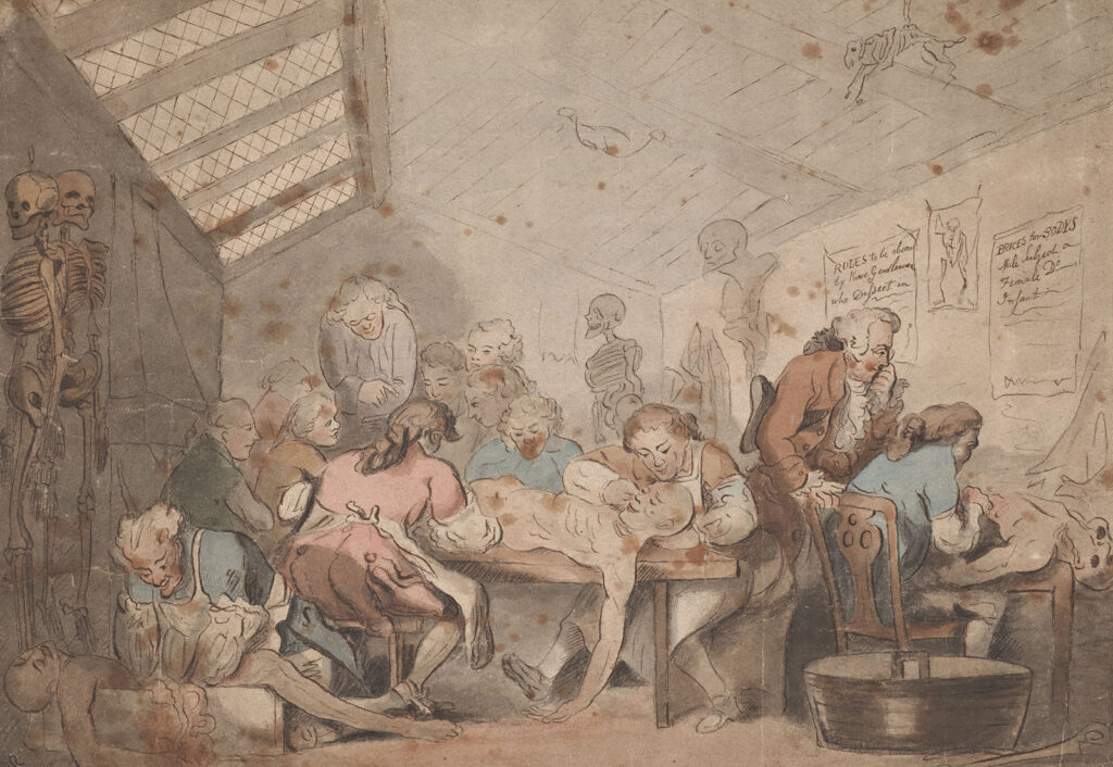 Cartoon of group of men dissecting bodies in an attic