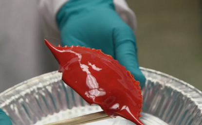 A gloved hand holds a piece of imitation coral.