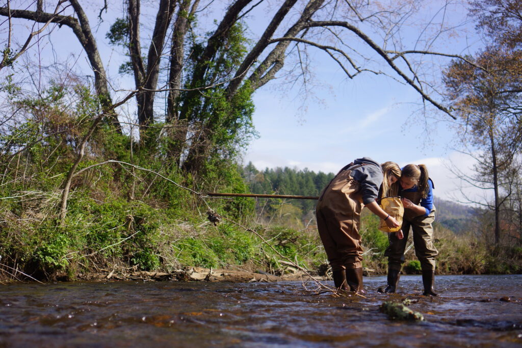 Youth in stream wearing waders holding net