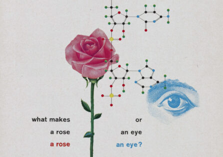 Ad for IBM with rose and DNA