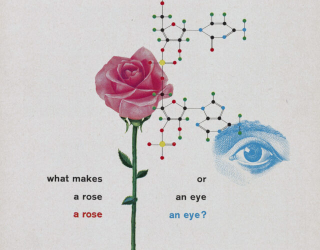Ad for IBM with rose and DNA