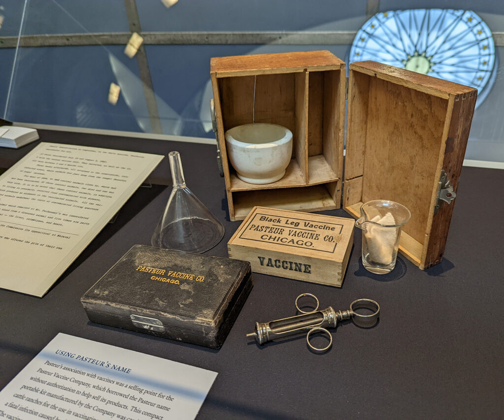 Photo of exhibit items in case