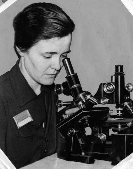 staged photo of woman looking through microscope